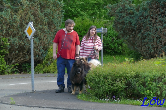 19.5.2024 Verkehrserziehung
